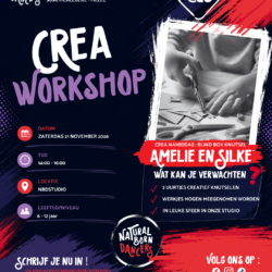 21.11.2026 CREAWORKSHOP BLINDBOX KNUTSELEN